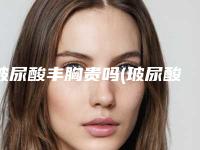 玻尿酸丰胸贵吗(玻尿酸丰胸安全可靠吗多少钱)