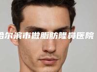 哈尔滨市做脂肪隆鼻医院排名榜前十强精选榜单-哈尔滨市做脂肪隆鼻整形医院