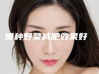 哪种野菜减肥效果好