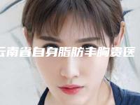 云南省自身脂肪丰胸贵医院哪家比较好(昆明娇点整形美容门诊部热度很高很省心)