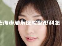 上海市浦东医院整形科怎么样[上海市浦东医院整形科怎么样啊]
