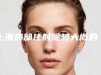 上海鼻部注射除皱大概的价格要多少钱