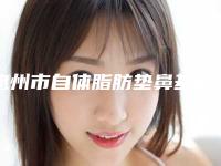 惠州市自体脂肪垫鼻基底医院口碑之选（惠州市自体脂肪垫鼻基底整形医院）