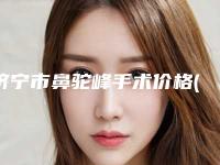 济宁市鼻驼峰手术价格(价目)火热出炉一览(鼻驼峰手术均价为：10072元)