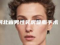 河北省男性乳房吸脂手术整形医院好的是哪几家-石家庄市第四医院整形科TOP10稳中求胜