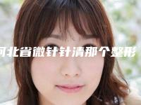 河北省微针针清那个整形医院比较好(石家庄丽华林美容服务有限公司桥西医疗美容诊所谁领衔榜首)