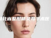 湖北省整形精灵耳手术医院排行top10强都是实力医（湖北省整形精灵耳手术整形医院）