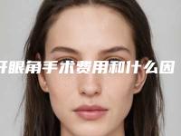 开眼角手术费用和什么因素有关（开眼角 费用）