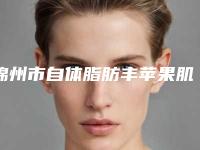 锦州市自体脂肪丰苹果肌手术医院排名前十位名次盘点（锦州市自体脂肪丰苹果肌手术整形医院）