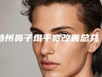 随州鼻子塌平宽改善总共需要费用是多少