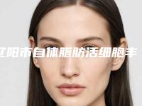 辽阳市自体脂肪活细胞丰胸医院榜单前十合集盘点-辽阳市自体脂肪活细胞丰胸整形医院