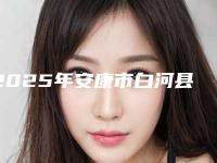 2025年安康市白河县韩式综合鼻部整形哪个医院口碑好